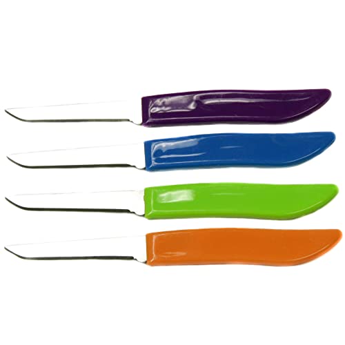 Best Chef And Paring Knife Set