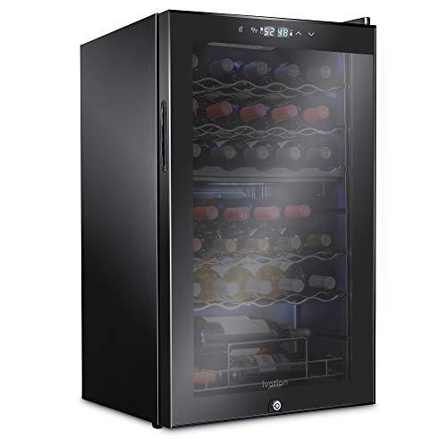 Best Dual Zone Thermoelectric Wine Cooler