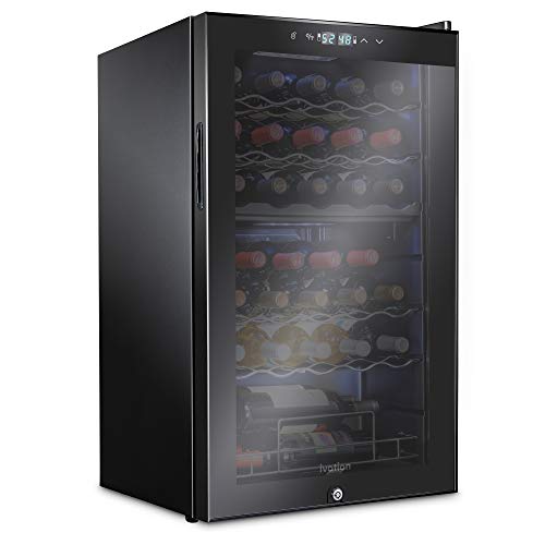 Best Dual Zone Wine Fridge