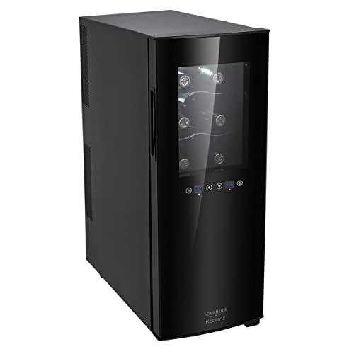 Dual Zone Wine Cooler Best Buy