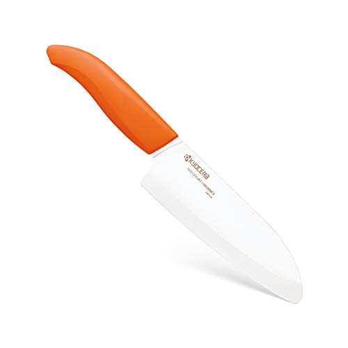 Best Cook Or Chef’s Knife
