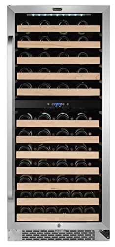 Wine Fridge Dual Zone Best Buy