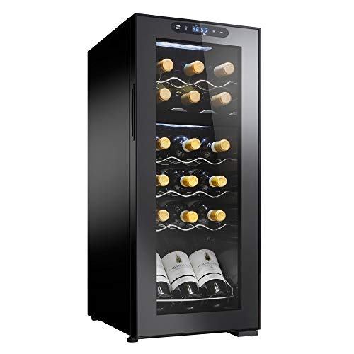 Best Small Dual Zone Wine Cooler