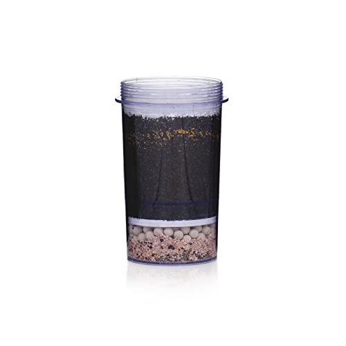 Best Water Filter For At