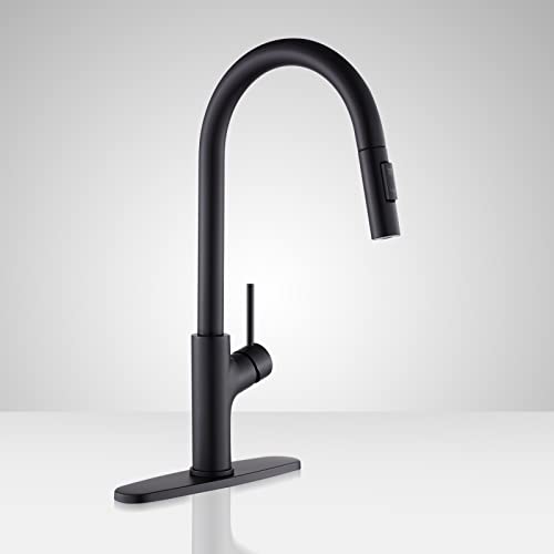 Best Magnetic Pull Down Kitchen Faucet