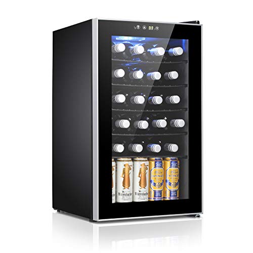 Best Wine Fridge For Aging Cheese