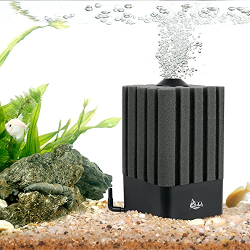 Best Water Filter For Fish Tank