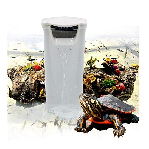 Best Water Filter For Aquatic Turtles