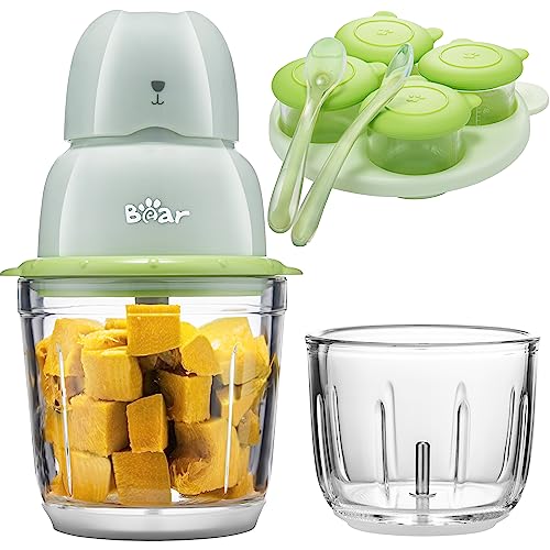 Best Food Processor For Baby Food And Regular