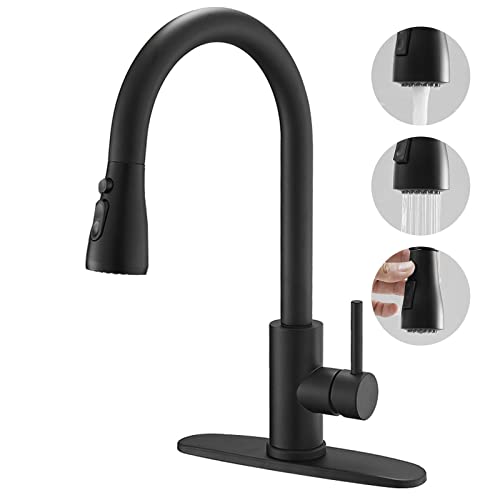 Best Kitchen Faucet Pull Out Sprayer Single Lever