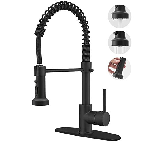 Best Pull Down Kitchen Faucet Reviews