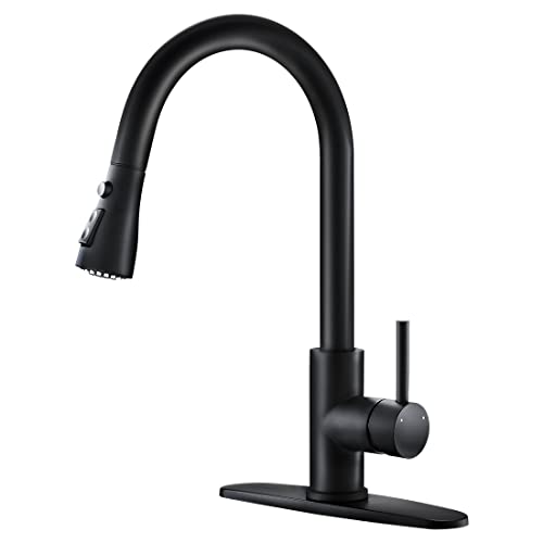 Best Home Kitchen Faucet