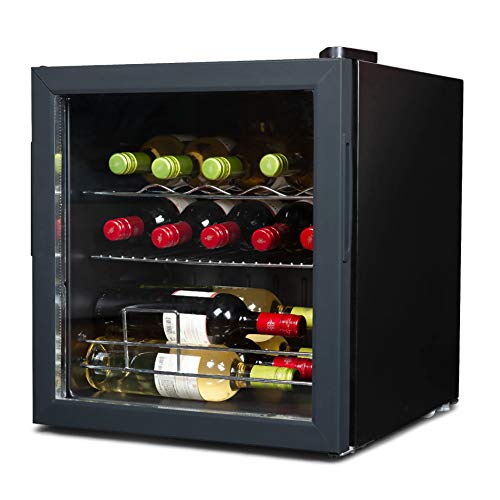 Best Large Wine Refrigerator Reviews