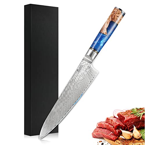 Best Vg10 Chef Knife