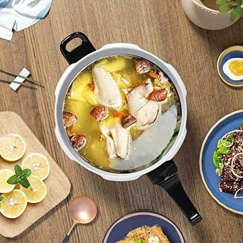 Best Multi Function Electric Pressure Cooker
