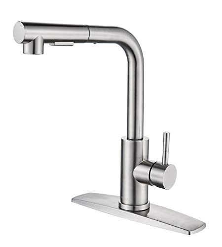 Best Rated Pull Out Spray Kitchen Faucet
