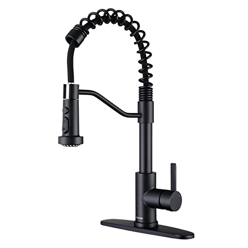 The Best Black Stainless Steel Kitchen Faucet