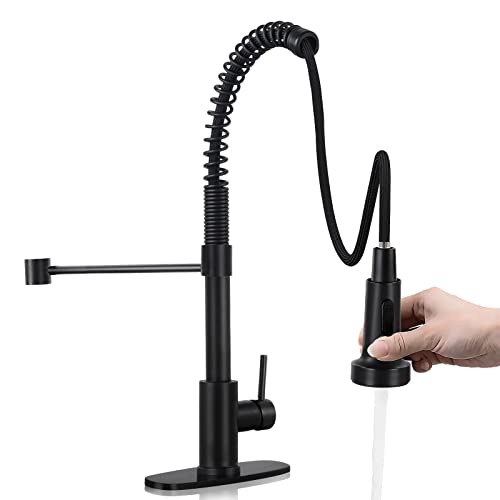 Best Single Handle Kitchen Faucet With Pull Down Sprayer