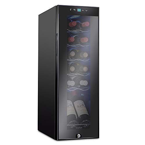 What Is The Best Thermoelectric Wine Cooler