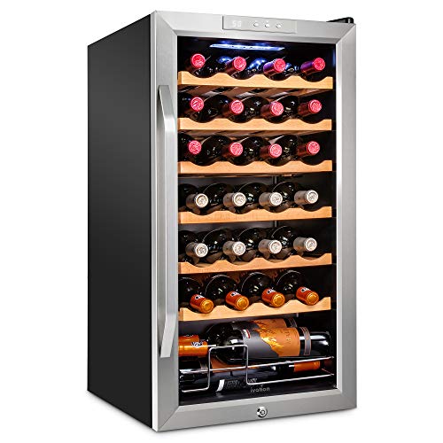 Best Medium Sized Wine Cooler