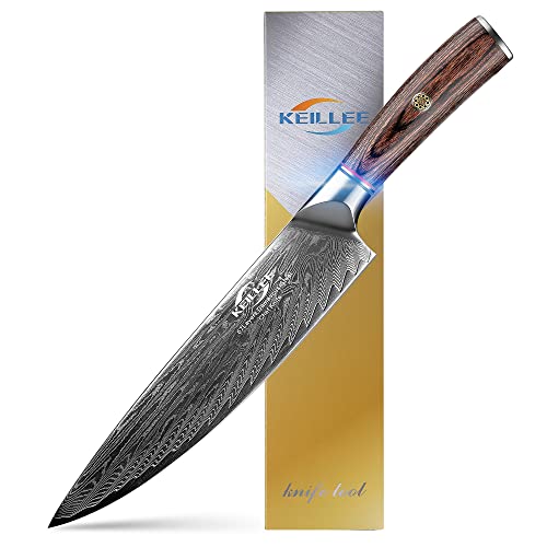 Best Damascus Steel Chef Knives