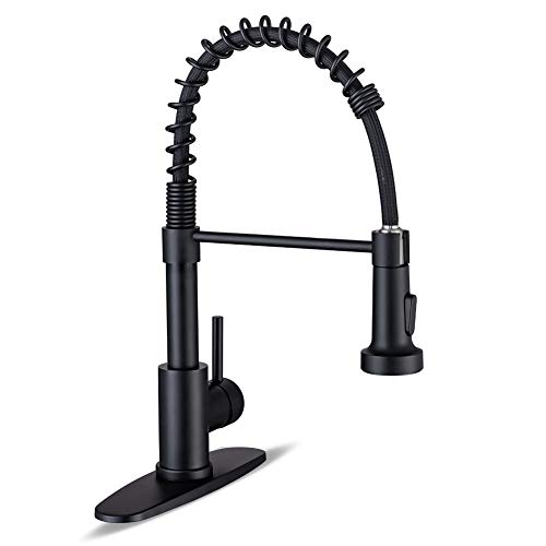 Best Industrial Pull Down Kitchen Faucet