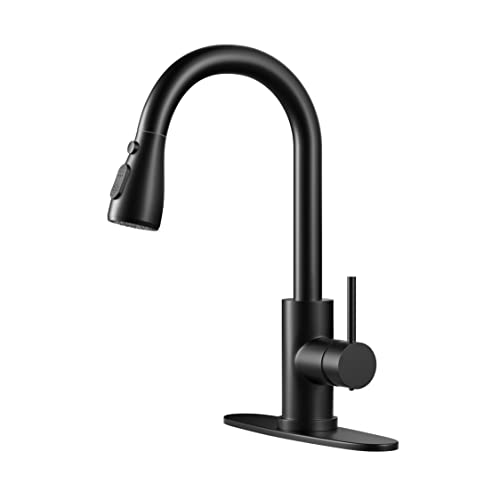 Best Pull Down Kitchen Faucet With Sprayer