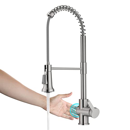 Best Pull Down Kitchen Faucet Touchless