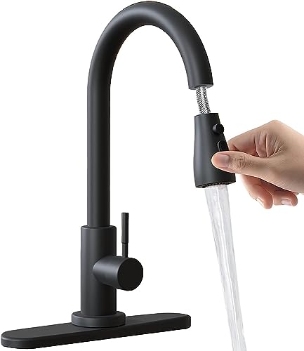 Best Kitchen Faucets With Pull-down Sprayer