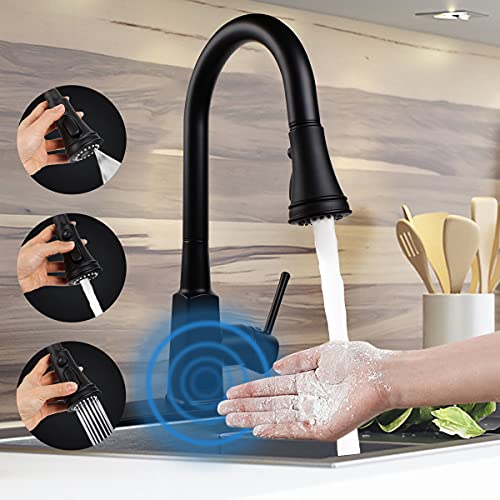Best Rated Kitchen Faucet With Pull Down Faucet And Motion