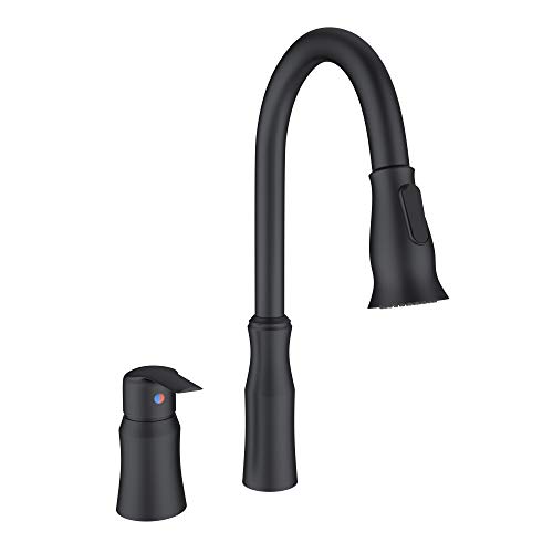 Best Rated 2 Handle Kitchen Faucet