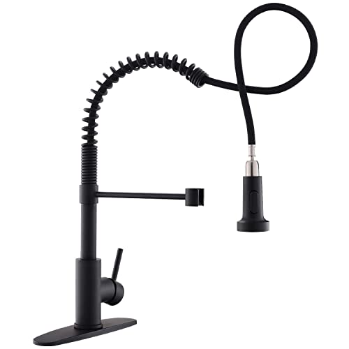 Best Selling Kitchen Faucet Home Depot