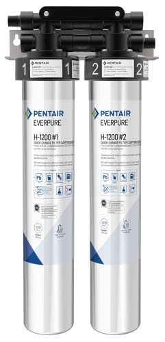 Best Everpure Water Filter For Home