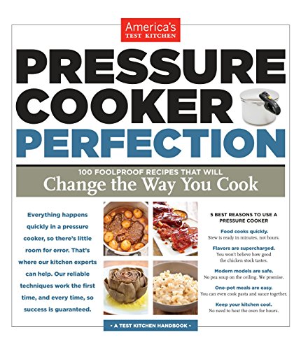 American Test Kitchen Best Fast Slow Pressure Cooker