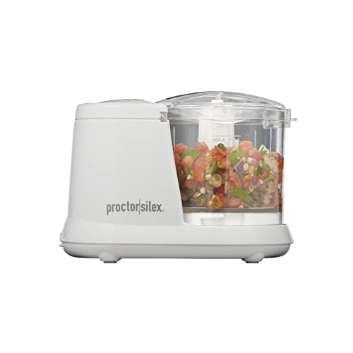 Best Mini Food Processor For Baby Food