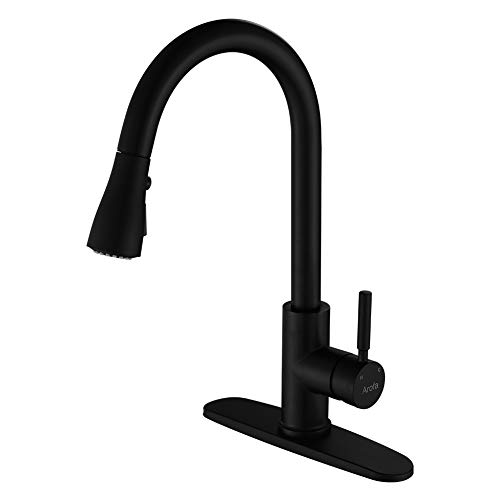 Best Kitchen Faucet Inexpensive