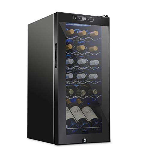 Best Inexpensive Wine Refrigerator