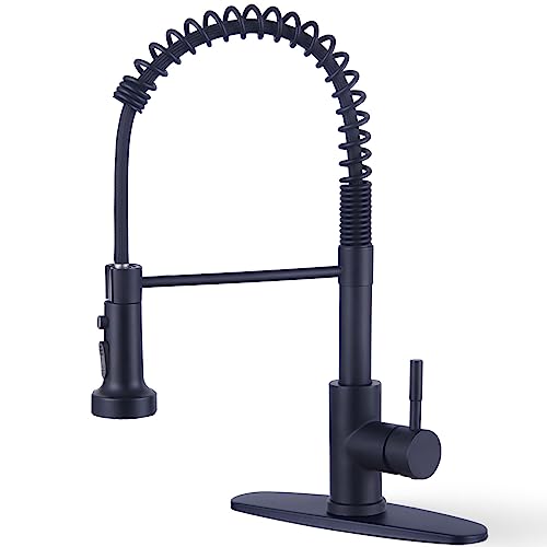 Semaney Kitchen Faucets18 Gpm Black Stainless Steel Single Handle Sink 