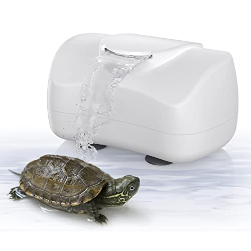 Best Water Filter For Turtles