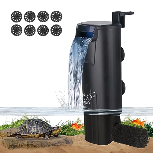 Best Water Filter For Turtle Tank