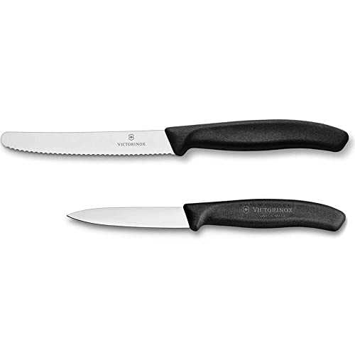 Best Victorinox Kitchen Knife