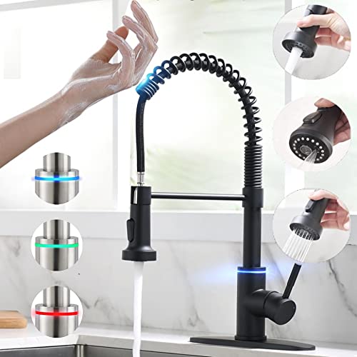 Best Kitchen Faucet With Temperature Control