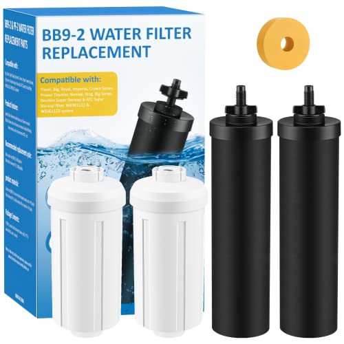 Best Water Filter For Price