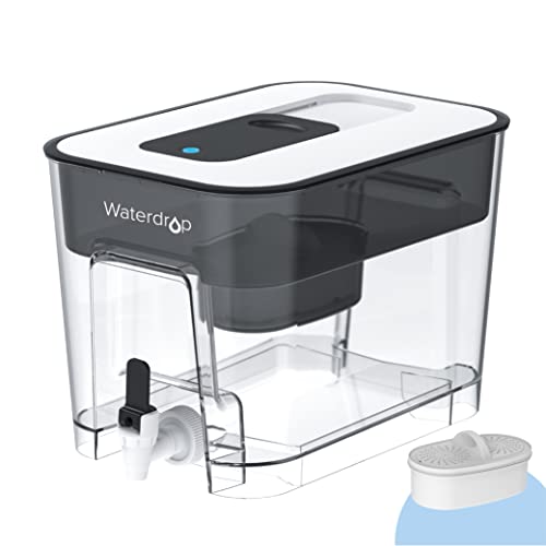 Best Water Filter For Rental Apartments