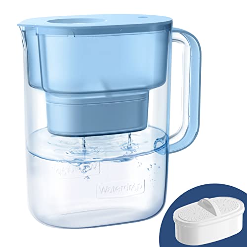 Best Home Water Pitcher Filter For City Tap Water