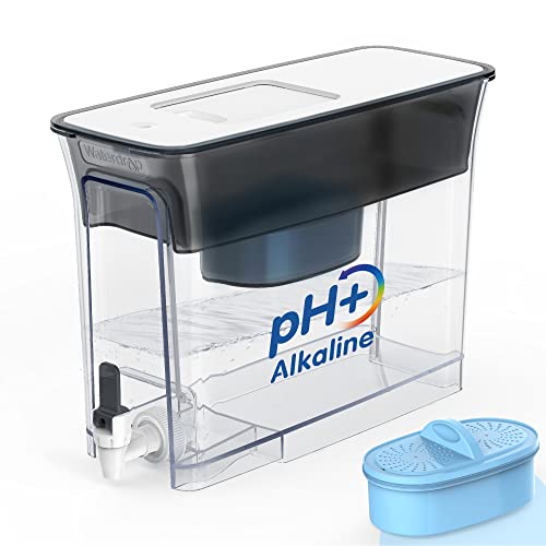 Best Alkaline Water Filter For Acidic Well Water