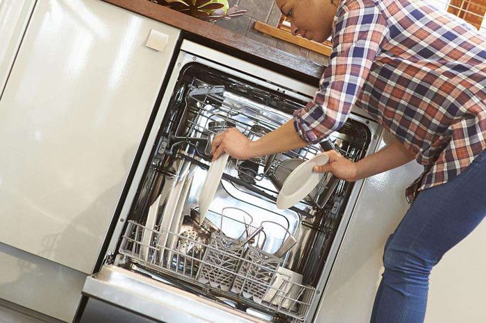 What Are The Most Common Causes Of Dishwasher Odor?