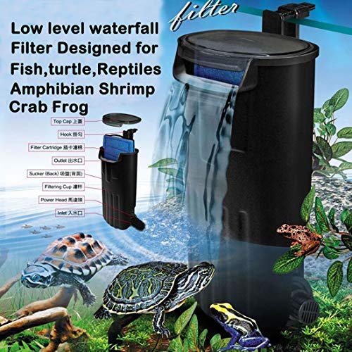Best Water Filter For Turtle Aquarium