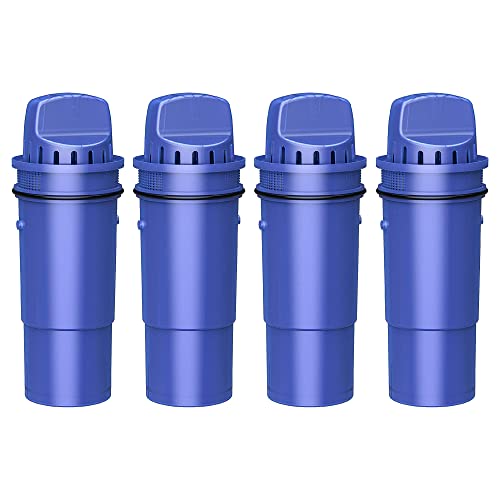 What Water Filter Is Best