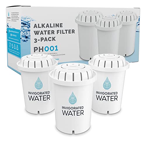 Best Water Filter Alkaline